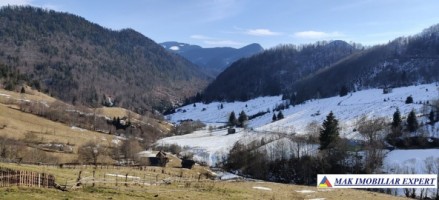 teren-4928-mp-intraextravilan-de-vanzare-in-valea-urdii-dambovicioara-arges-5