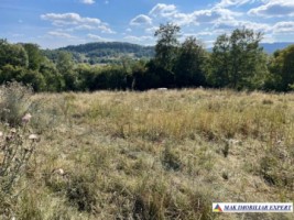 teren-extravilan-6200-mp-nucsoara-arges-ideal-pentru-agricultura