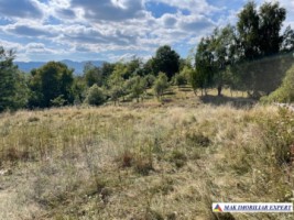 teren-extravilan-6200-mp-nucsoara-arges-ideal-pentru-agricultura-3
