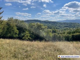 teren-extravilan-6200-mp-nucsoara-arges-ideal-pentru-agricultura-5