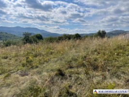 teren-extravilan-6200-mp-nucsoara-arges-ideal-pentru-agricultura-4