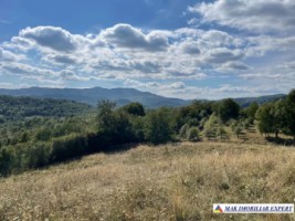 teren-extravilan-6200-mp-nucsoara-arges-ideal-pentru-agricultura-6