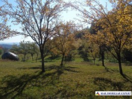 teren-130-ha-intraextravilan-de-vanzare-in-malu-godeni-arges-oportunitate-pentru-dezvoltari-imobiliare