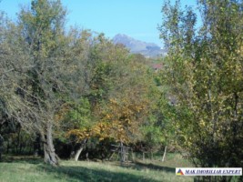 teren-130-ha-intraextravilan-de-vanzare-in-malu-godeni-arges-oportunitate-pentru-dezvoltari-imobiliare-1