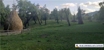 teren-4400-mp-intraextravilan-de-vanzare-in-bradulet-arges
