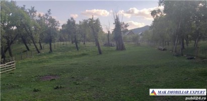 teren-4400-mp-intraextravilan-de-vanzare-in-bradulet-arges-2