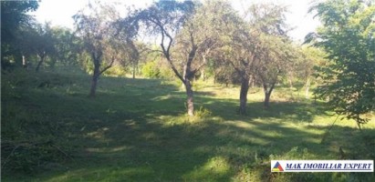 teren-4400-mp-intraextravilan-de-vanzare-in-bradulet-arges-3