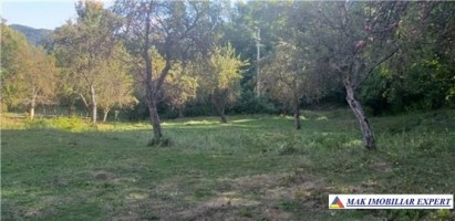 teren-4400-mp-intraextravilan-de-vanzare-in-bradulet-arges-1