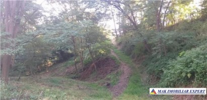teren-4400-mp-intraextravilan-de-vanzare-in-bradulet-arges-4