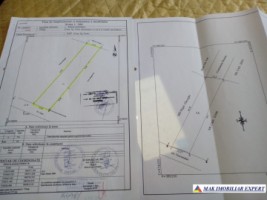 teren-intravilan-1535-mp-de-vanzare-in-strejelnicu-prahova-ideal-pentru-constructii-rezidentiale-1