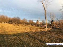 teren-intravilan-5000-mp-leresti-arges-ideal-pentru-constructii-rezidentiale-1