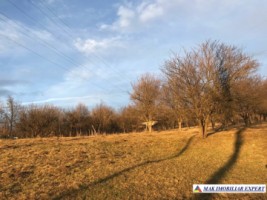 teren-intravilan-5000-mp-leresti-arges-ideal-pentru-constructii-rezidentiale-3
