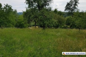 eren-intravilan-2770-mp-poienarii-de-muscel-arges-perfect-pentru-constructii-rezidentiale