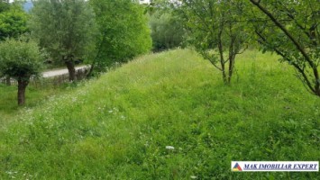 eren-intravilan-2770-mp-poienarii-de-muscel-arges-perfect-pentru-constructii-rezidentiale-2