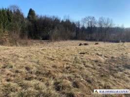 vand-teren-intravilan-3800-mp-mihaesti-arges
