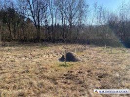 vand-teren-intravilan-3800-mp-mihaesti-arges-1