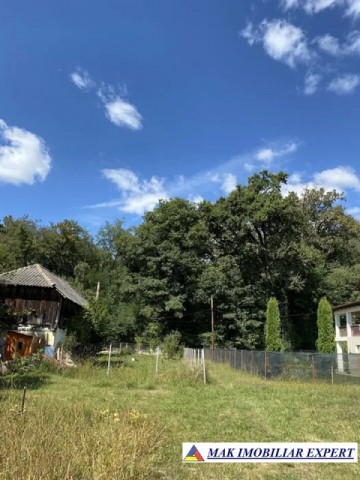vand-teren-intravilan-3800-mp-mihaesti-arges-7
