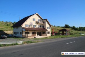 pensiune-10-camere-teren-1424-ha-de-vanzare-in-oancea-galati-oportunitate-turistica-1