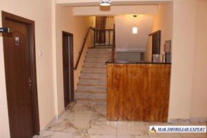 pensiune-10-camere-teren-1424-ha-de-vanzare-in-oancea-galati-oportunitate-turistica-6