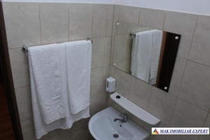 pensiune-10-camere-teren-1424-ha-de-vanzare-in-oancea-galati-oportunitate-turistica-11