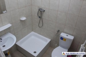 pensiune-10-camere-teren-1424-ha-de-vanzare-in-oancea-galati-oportunitate-turistica-12