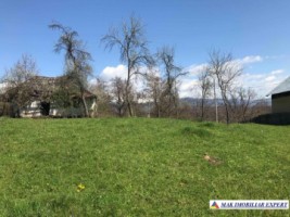teren-intravilan-2209-mp-de-vanzare-in-bughea-de-jos-ideal-pentru-dezvoltari-rezidentiale-2