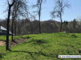 teren-intravilan-2209-mp-de-vanzare-in-bughea-de-jos-ideal-pentru-dezvoltari-rezidentiale-4