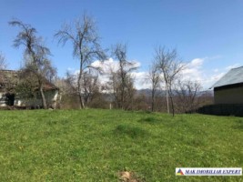 teren-intravilan-2209-mp-de-vanzare-in-bughea-de-jos-ideal-pentru-dezvoltari-rezidentiale-5