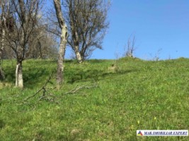 teren-intravilan-2209-mp-de-vanzare-in-bughea-de-jos-ideal-pentru-dezvoltari-rezidentiale-7