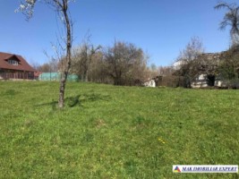 teren-intravilan-2209-mp-de-vanzare-in-bughea-de-jos-ideal-pentru-dezvoltari-rezidentiale-6