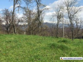 teren-intravilan-2209-mp-de-vanzare-in-bughea-de-jos-ideal-pentru-dezvoltari-rezidentiale-8