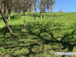 teren-intravilan-2209-mp-de-vanzare-in-bughea-de-jos-ideal-pentru-dezvoltari-rezidentiale-9
