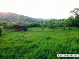 teren-extravilan-3580-mp-de-vanzare-in-corbi-arges