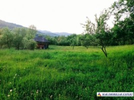 teren-extravilan-3580-mp-de-vanzare-in-corbi-arges-1