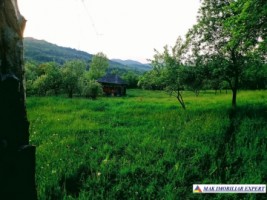 teren-extravilan-3580-mp-de-vanzare-in-corbi-arges-2