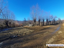 teren-extravilan-3580-mp-de-vanzare-in-corbi-arges-3