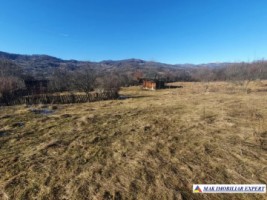 teren-extravilan-3580-mp-de-vanzare-in-corbi-arges-4