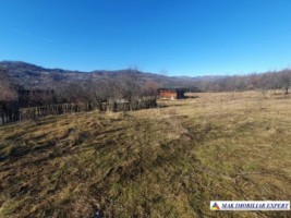 teren-extravilan-3580-mp-de-vanzare-in-corbi-arges-5
