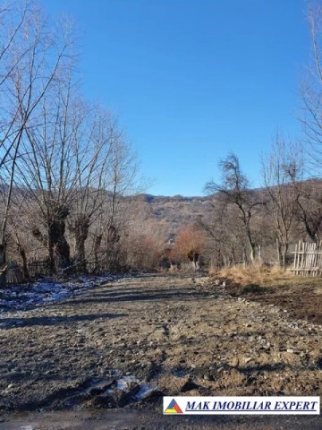 teren-extravilan-3580-mp-de-vanzare-in-corbi-arges-6
