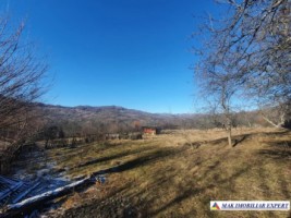 teren-extravilan-3580-mp-de-vanzare-in-corbi-arges-7