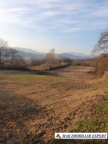 teren-extravilan-3580-mp-de-vanzare-in-corbi-arges-10