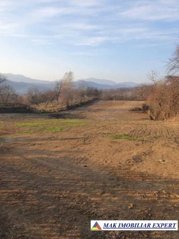 teren-extravilan-3580-mp-de-vanzare-in-corbi-arges-14