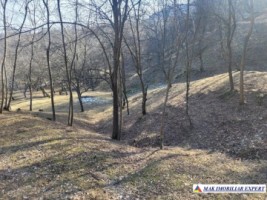teren-7500-mp-extravilan-de-vanzare-in-corbi-arges-ideal-pentru-activitati-agricole-2