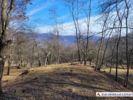 teren-7500-mp-extravilan-de-vanzare-in-corbi-arges-ideal-pentru-activitati-agricole-3