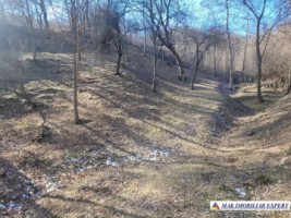 teren-7500-mp-extravilan-de-vanzare-in-corbi-arges-ideal-pentru-activitati-agricole-4