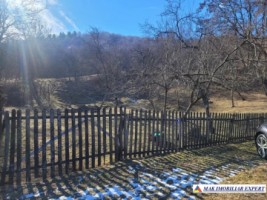 teren-7500-mp-extravilan-de-vanzare-in-corbi-arges-ideal-pentru-activitati-agricole-5