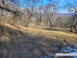 teren-7500-mp-extravilan-de-vanzare-in-corbi-arges-ideal-pentru-activitati-agricole-6