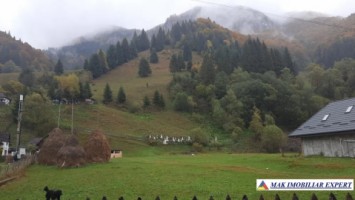 teren-intravilan-4250-mp-de-vanzare-rucar-satic-arges-deal-pentru-dezvoltari-rezidentiale-sau-turistice