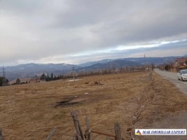 and-teren-intravilan-3000-mp-grui-campulung-muscel-arges-1