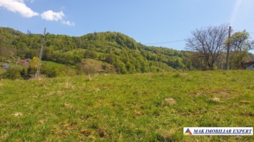 teren-750-mp-intravilan-rucar-1